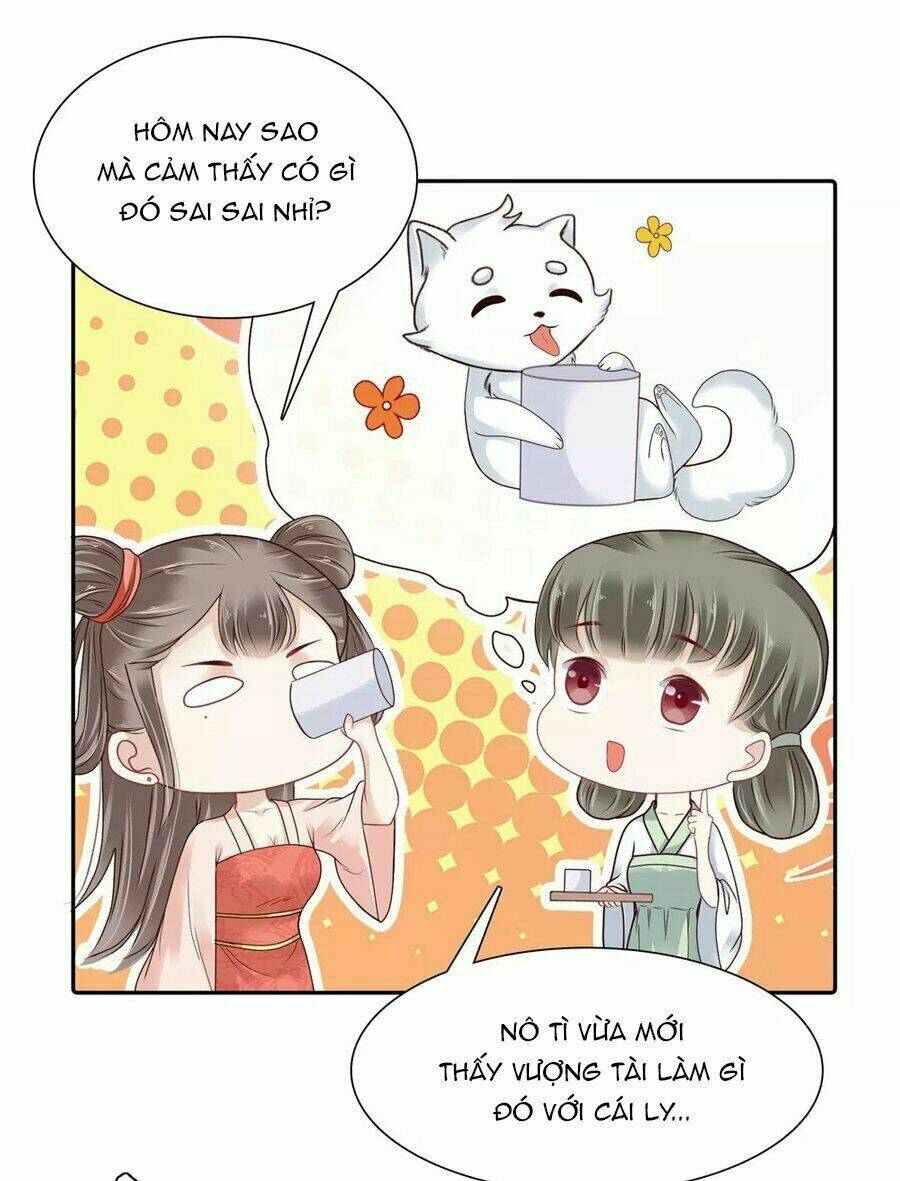 page_5.jpg
