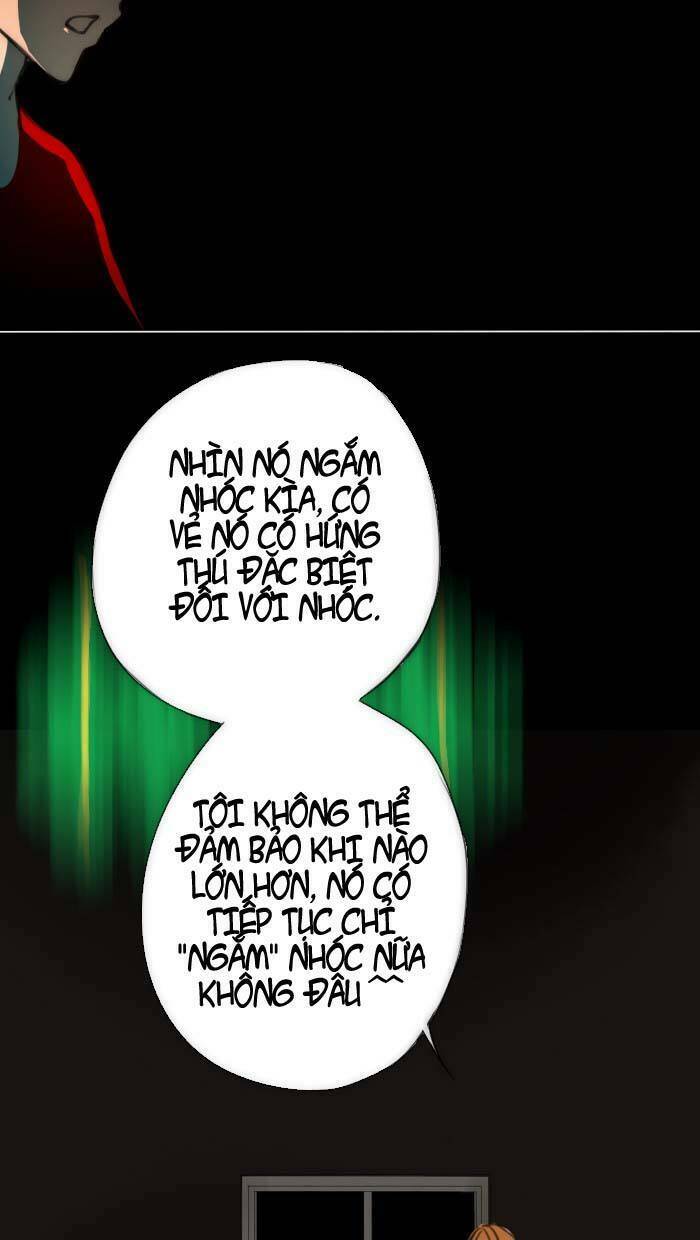 page_14.jpg