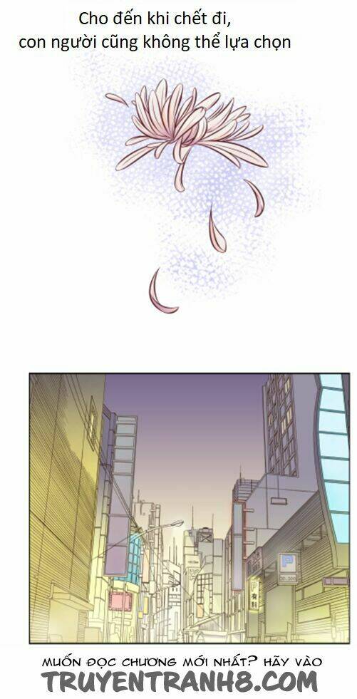 page_22.jpg