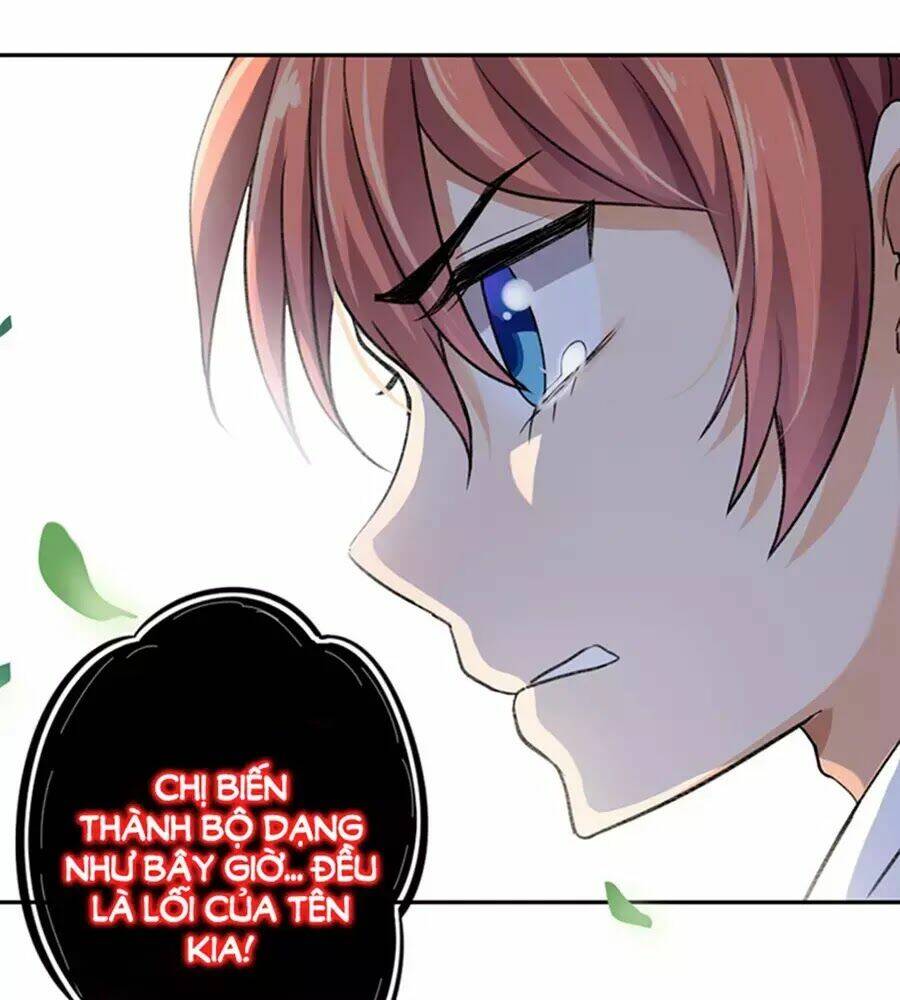 page_41.jpg