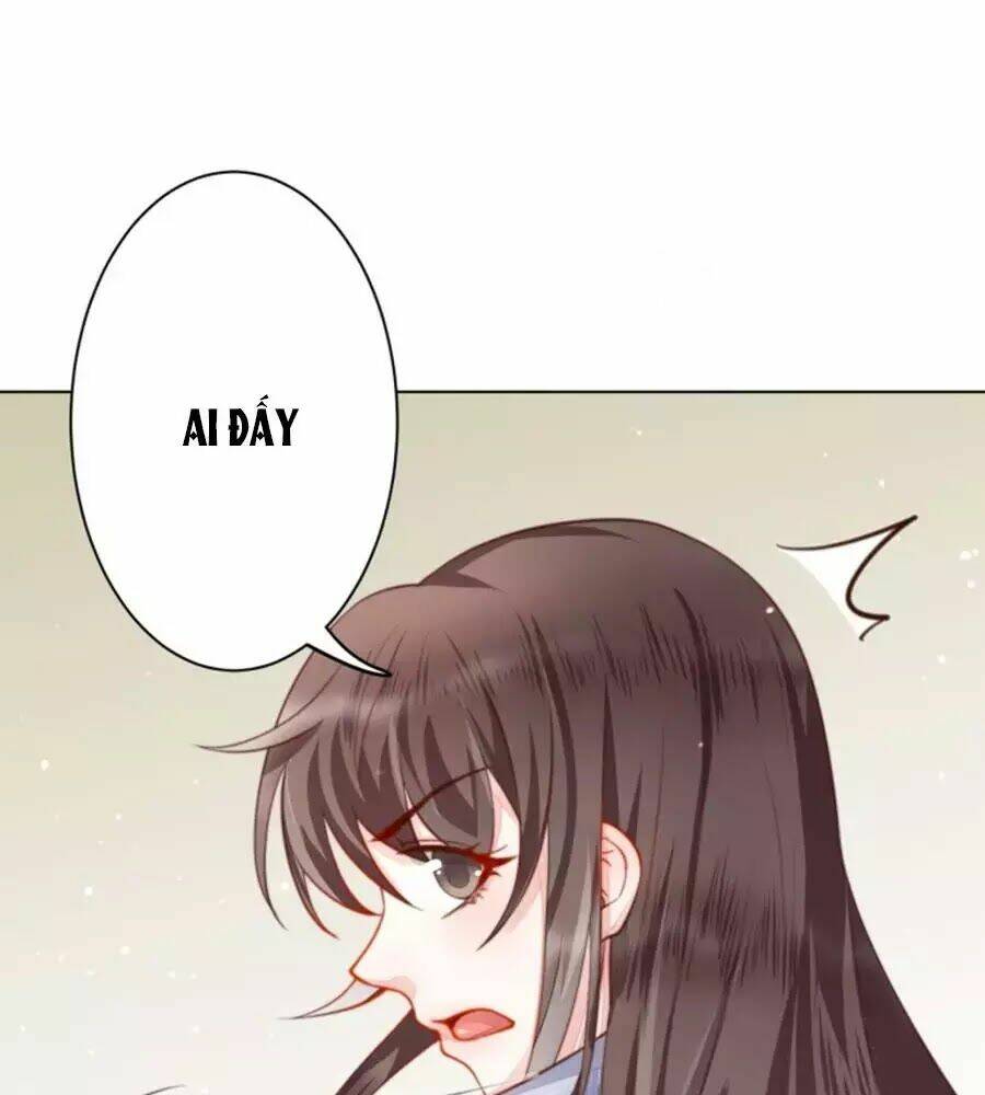 page_17.jpg