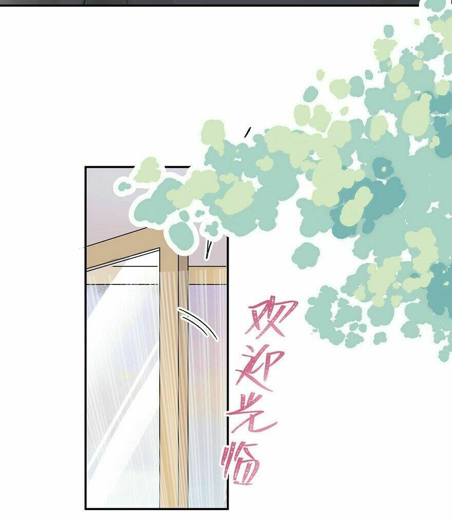 page_24.jpg