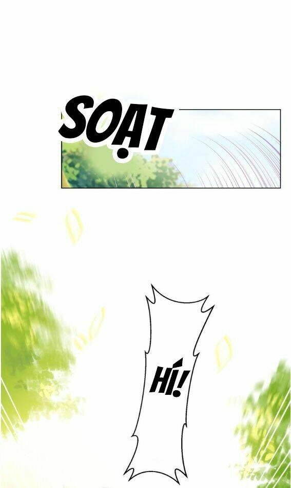 page_20.jpg