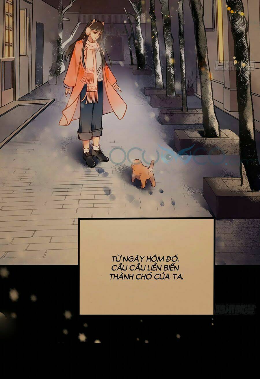 page_13.jpg