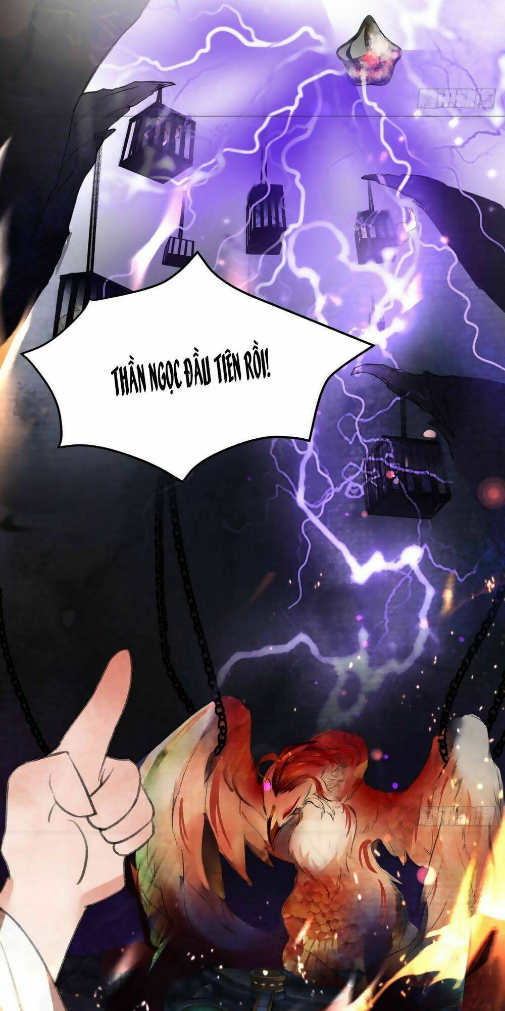 page_3.jpg