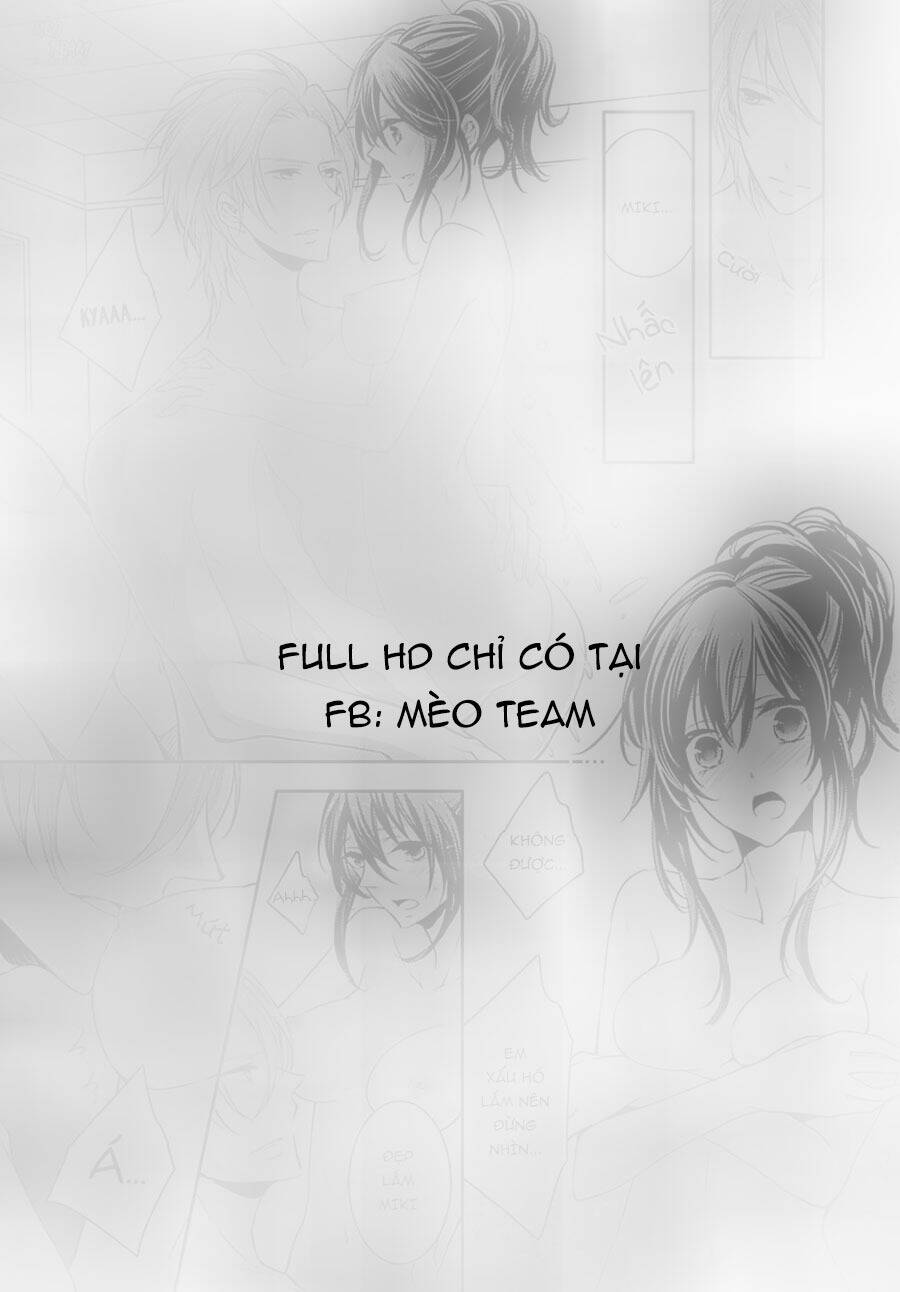 page_16.jpg