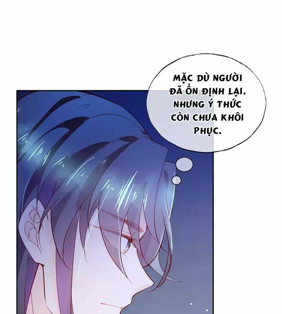 page_28.jpg