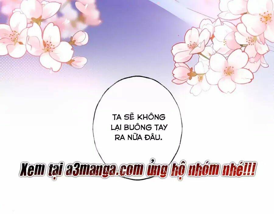 page_28.jpg