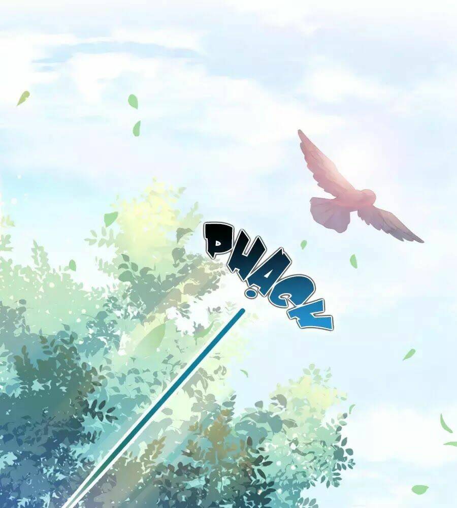 page_20.jpg