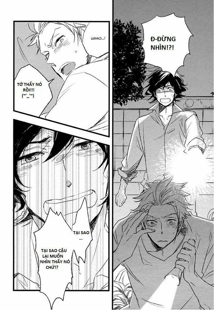 page_33.jpg