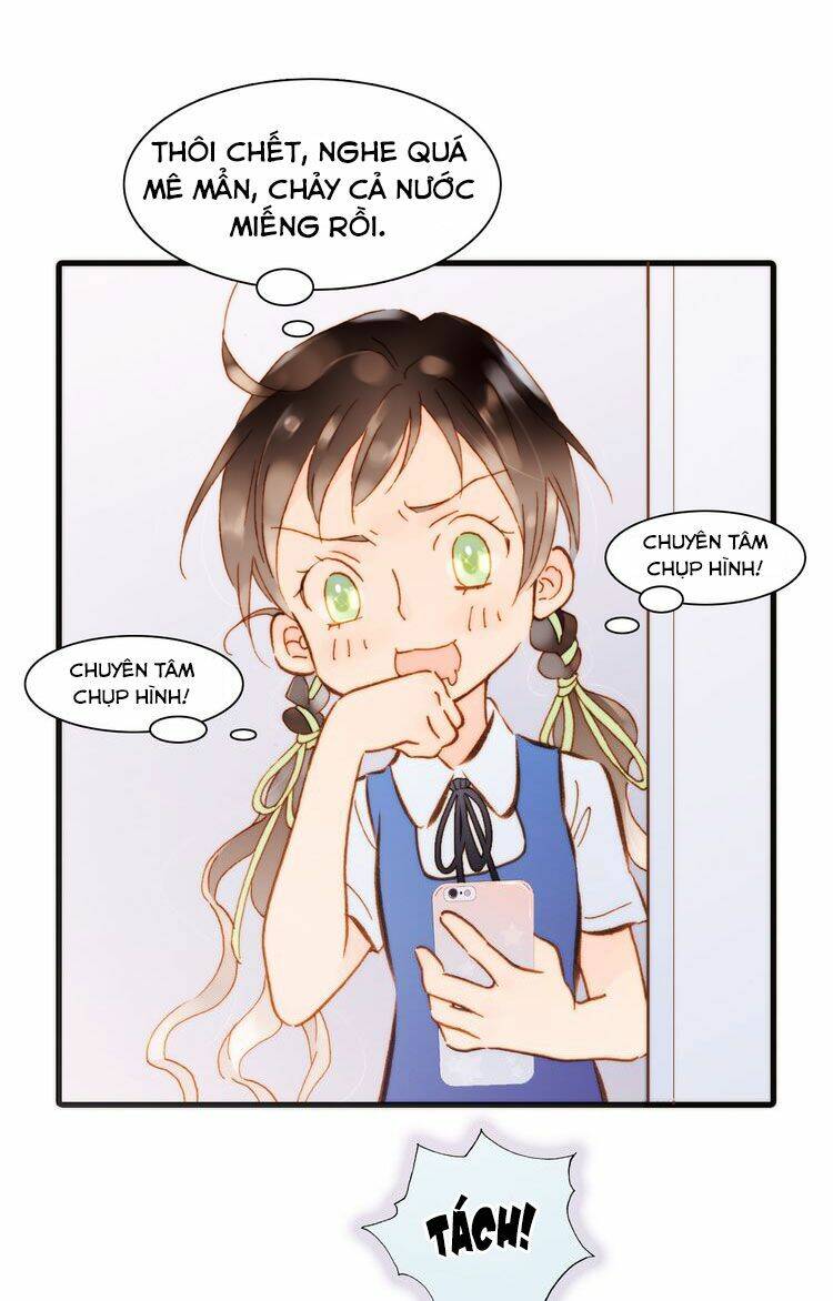 page_17.jpg