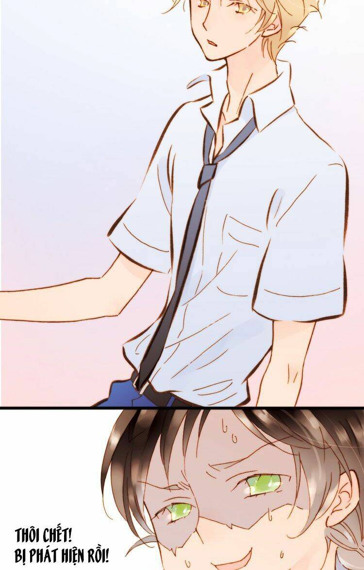 page_19.jpg