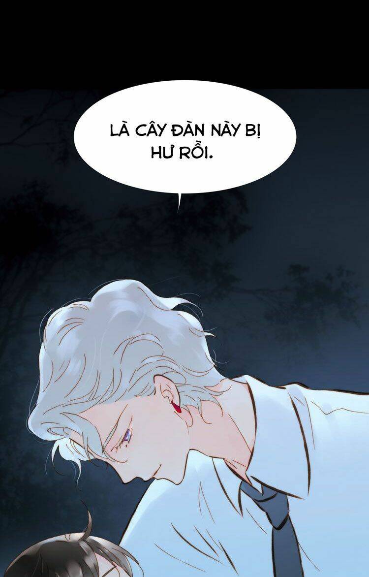 page_66.jpg