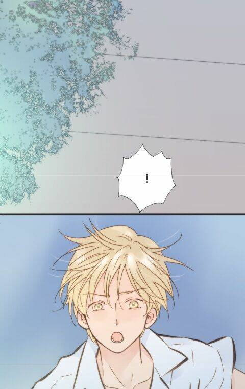 page_24.jpg