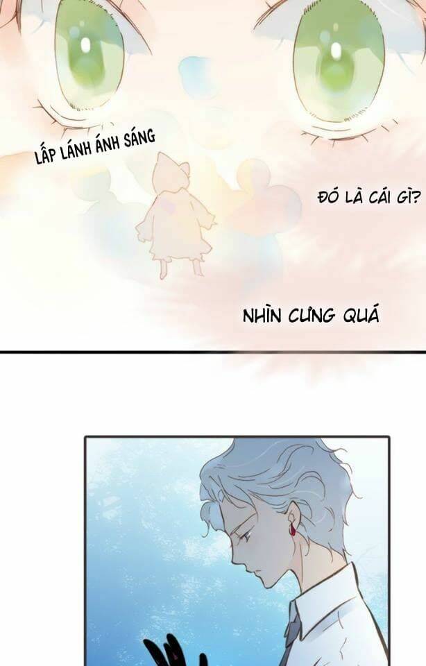 page_51.jpg