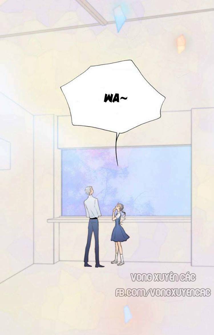 page_28.jpg
