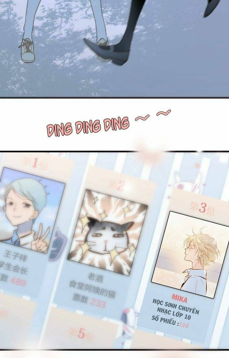 page_19.jpg