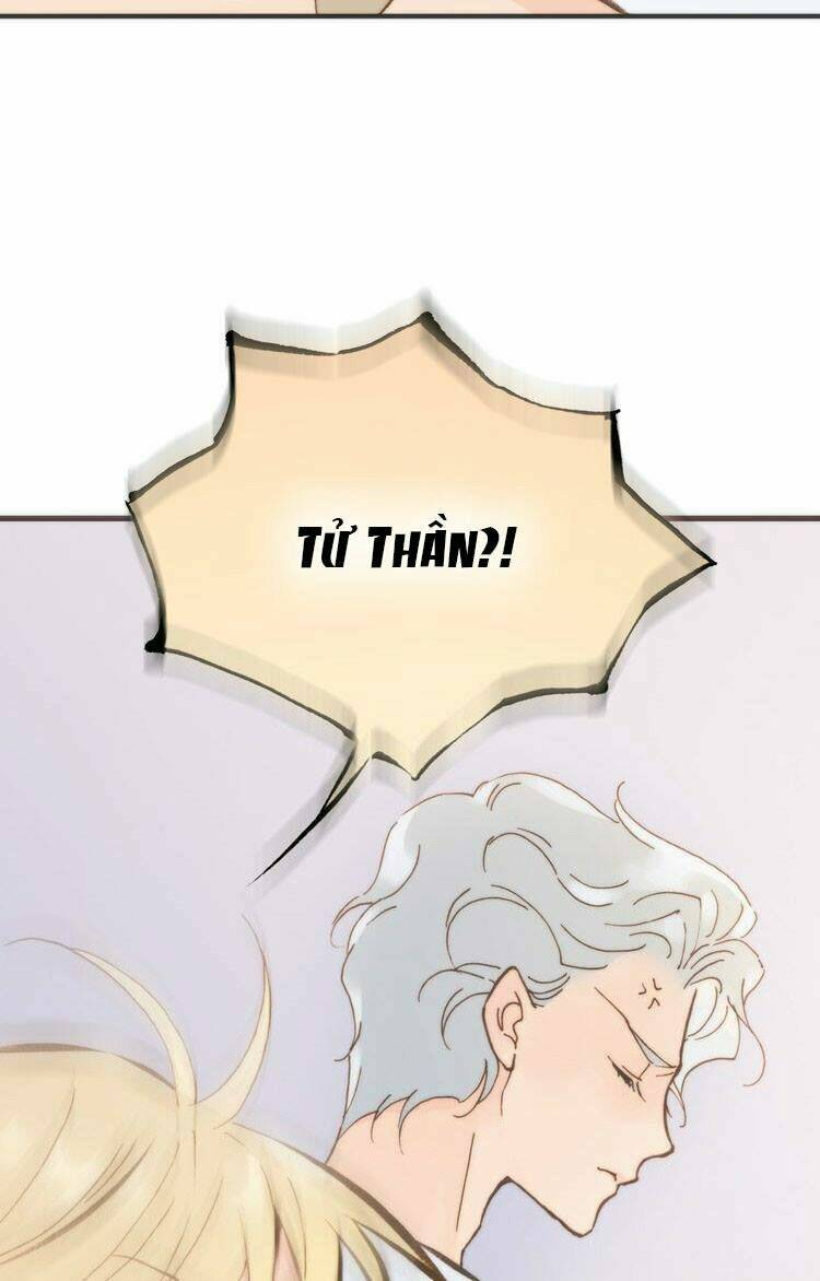 page_41.jpg