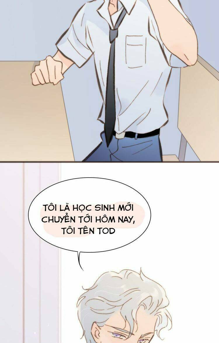 page_44.jpg