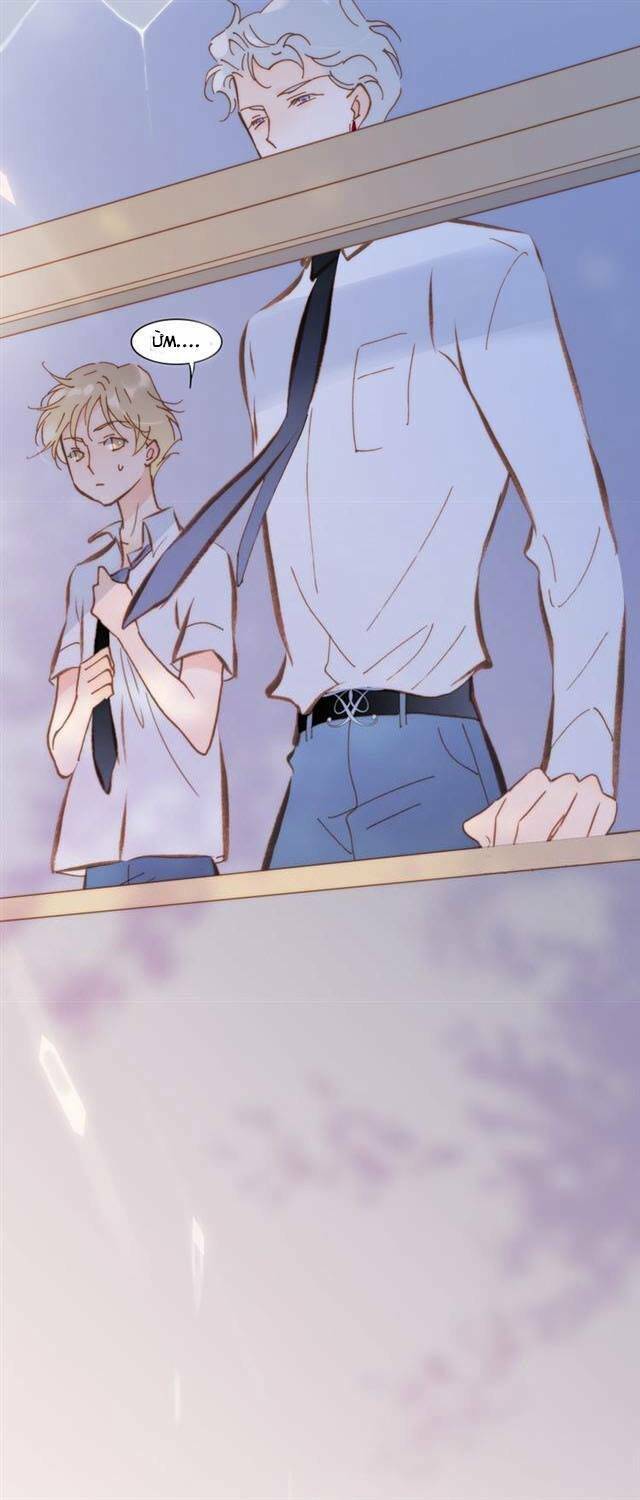 page_16.jpg