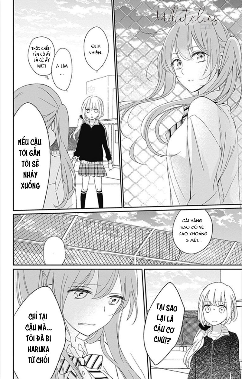 page_20.jpg