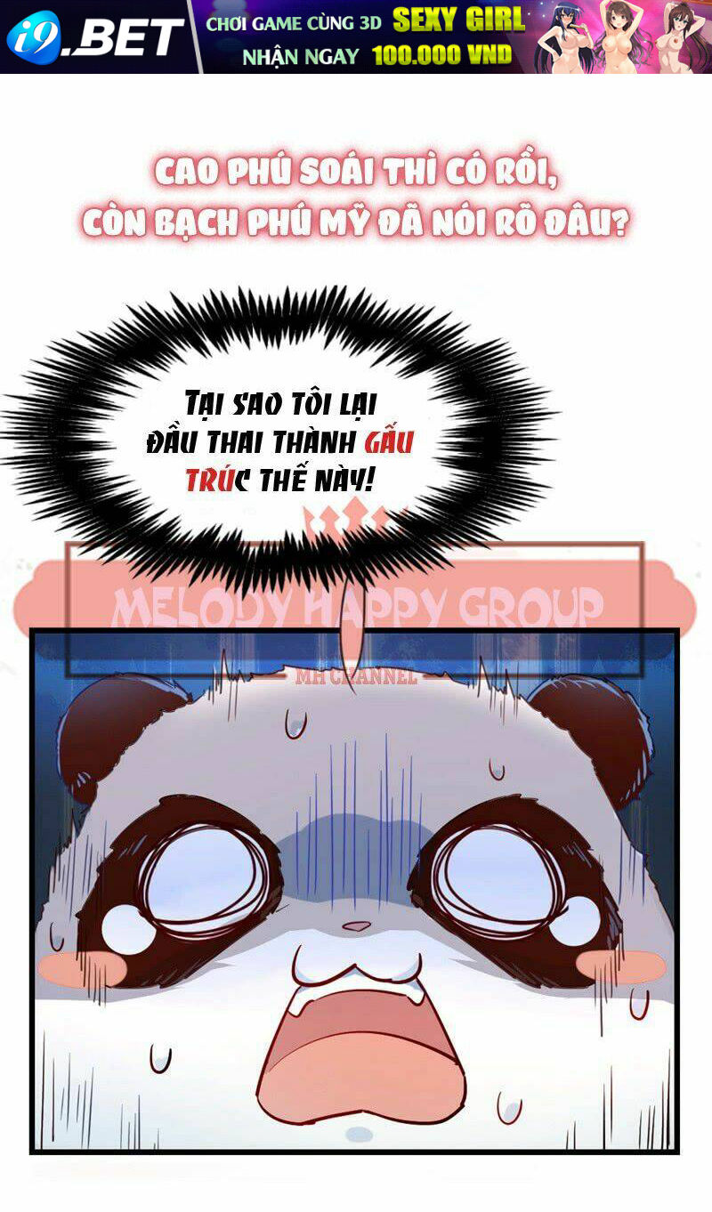 page_16.jpg