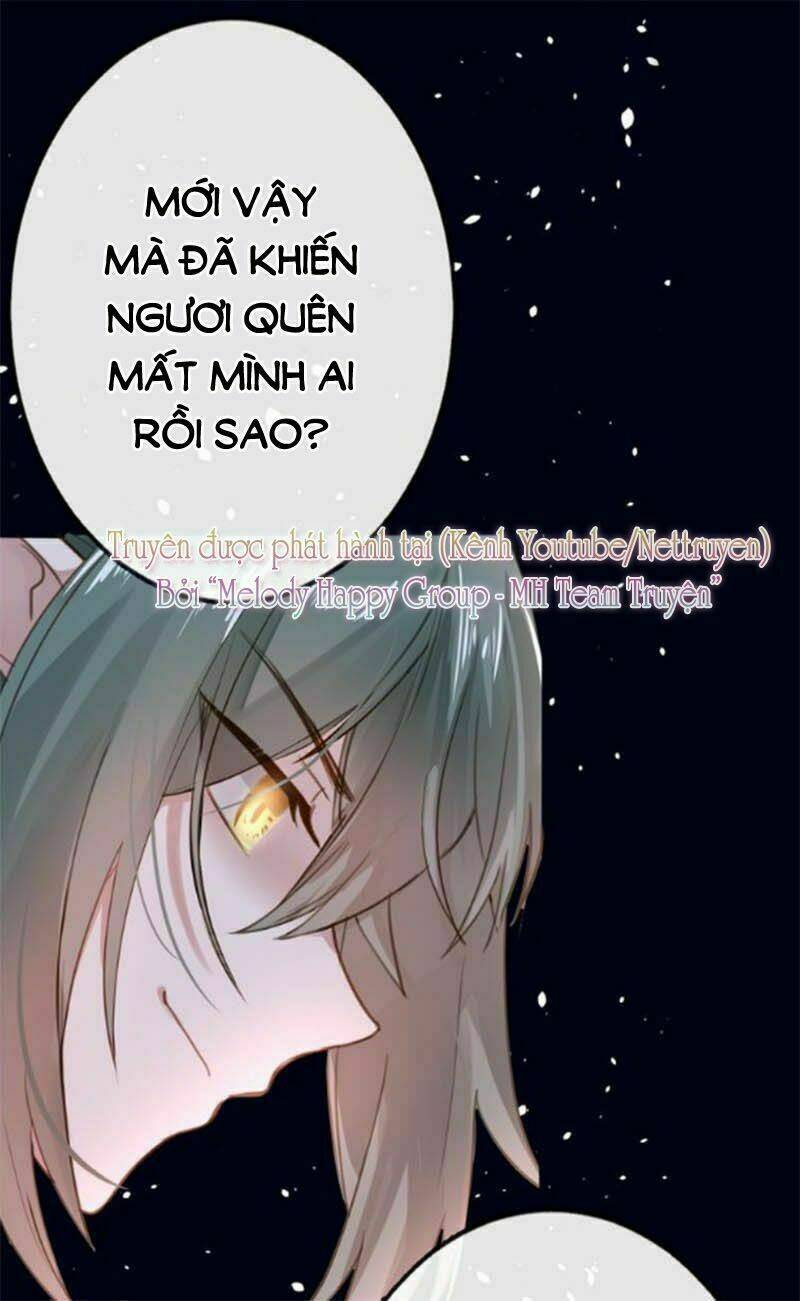 page_19.jpg