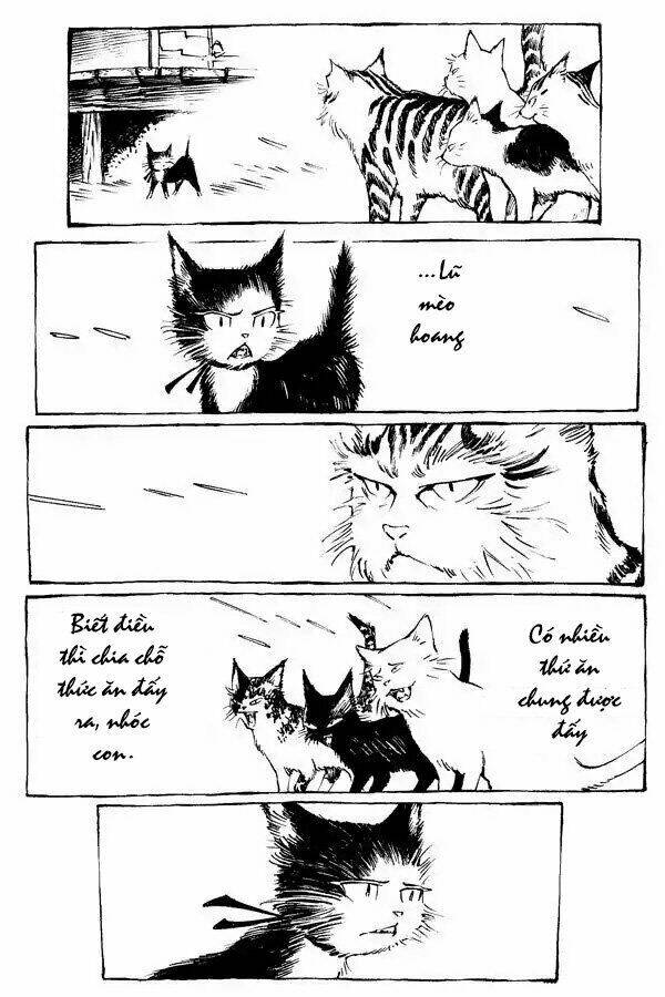 page_3.jpg