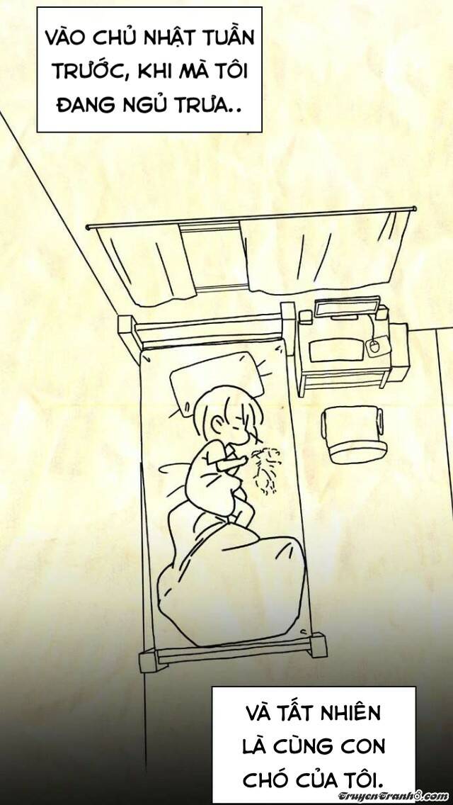 page_25.jpg