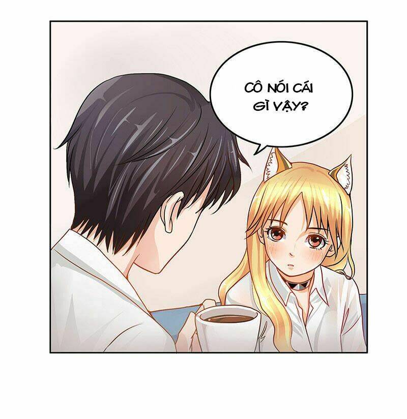 page_11.jpg