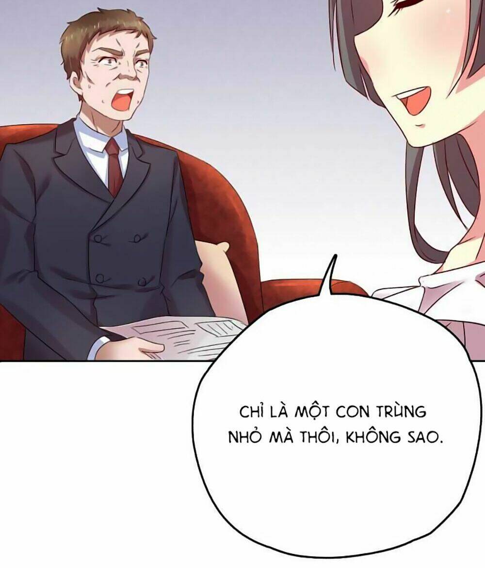 page_24.jpg