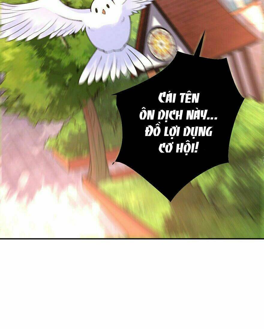page_34.jpg