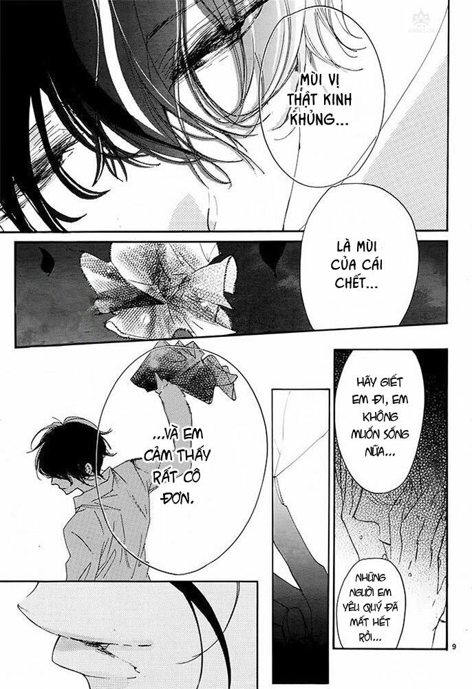 page_11.jpg