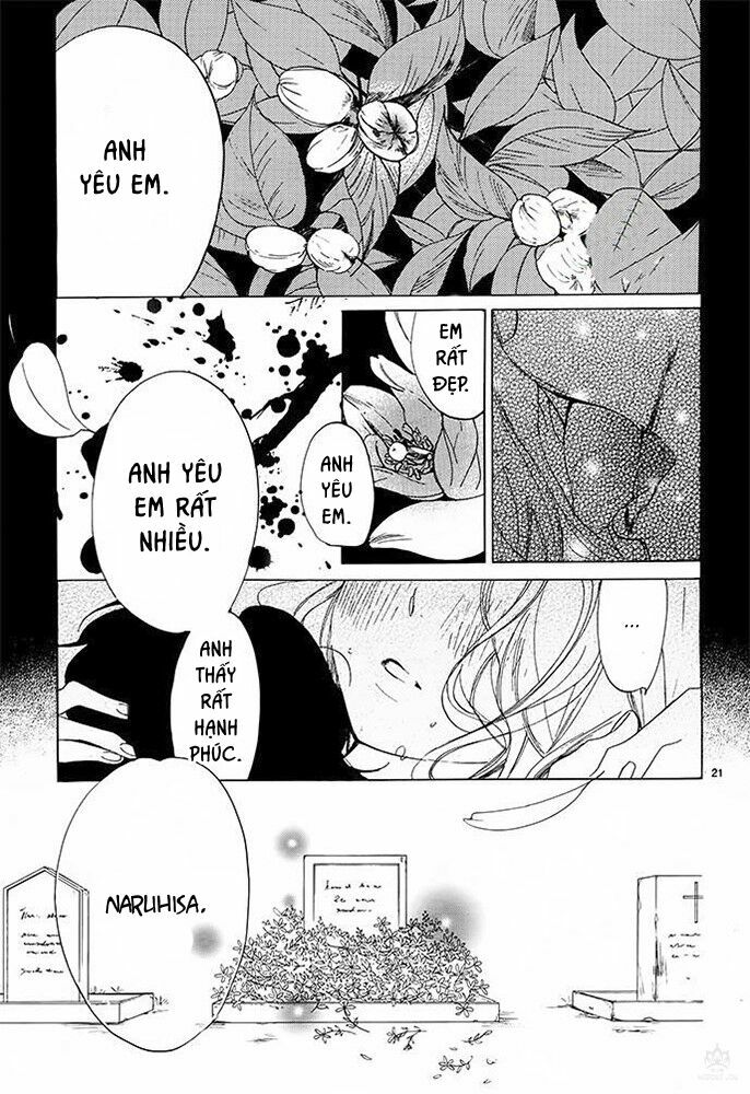 page_23.jpg