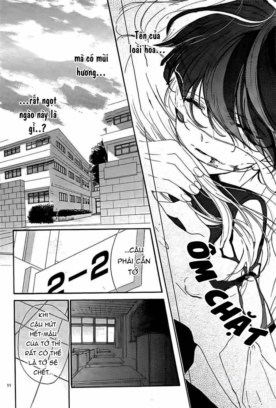 page_12.jpg