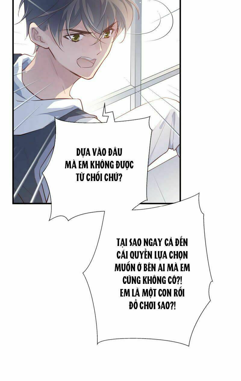 page_19.jpg