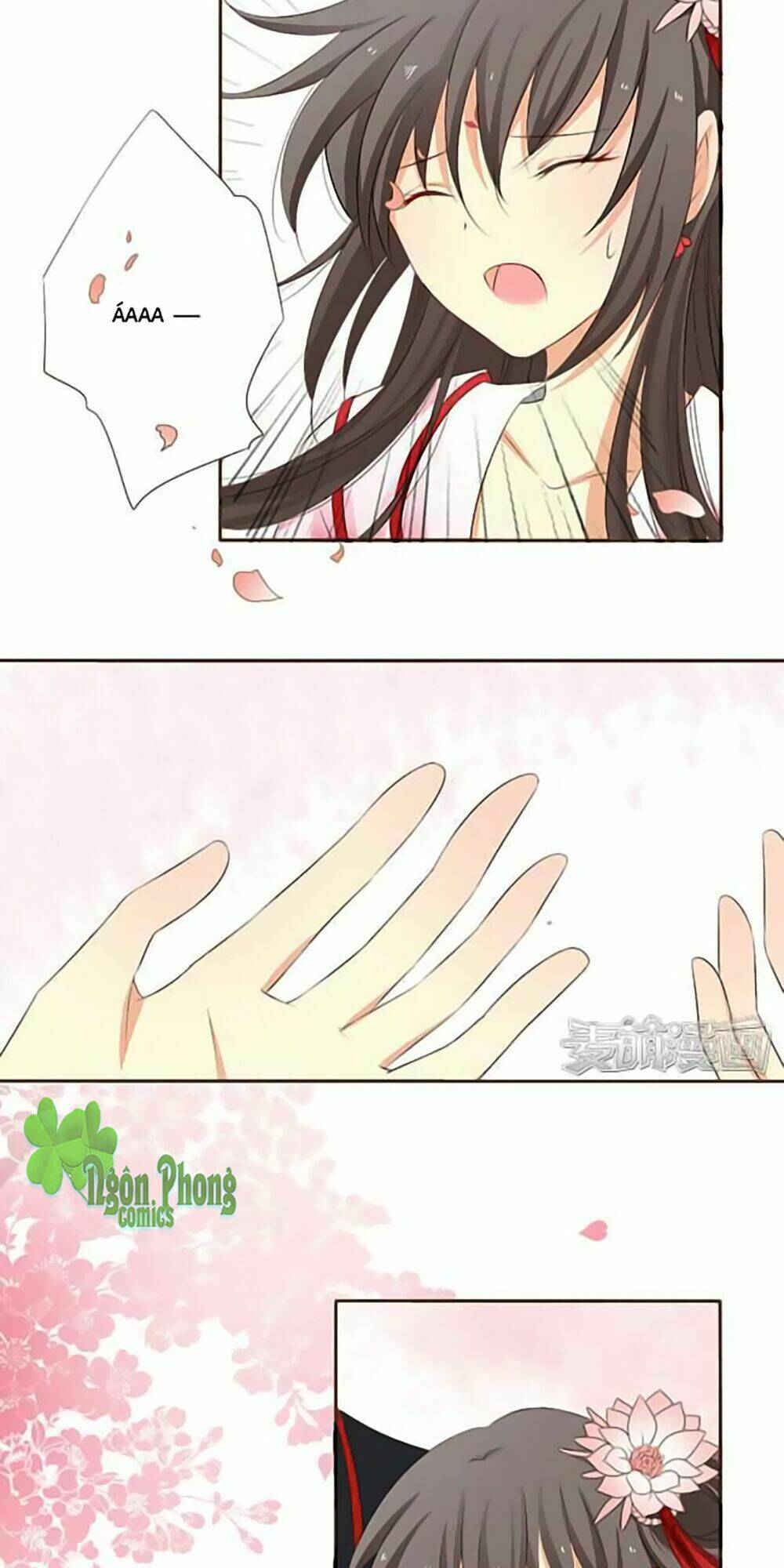 page_24.jpg
