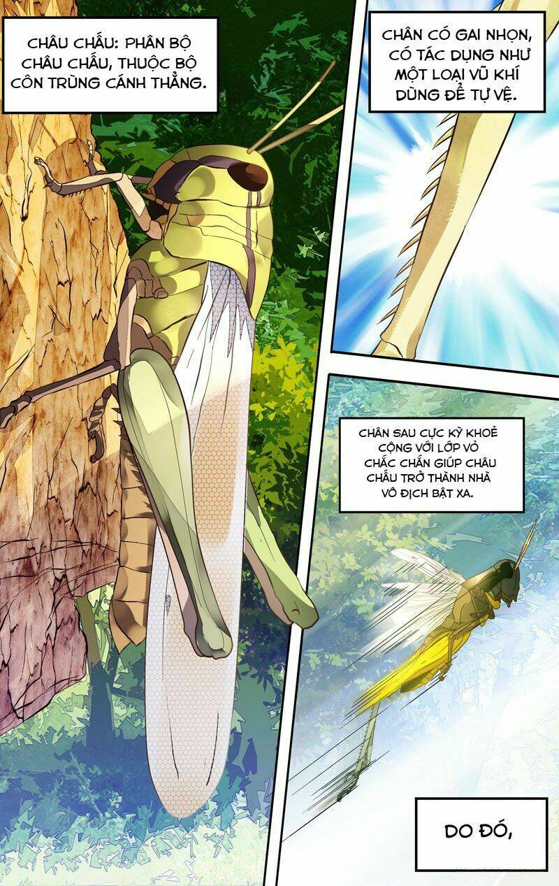 page_3.jpg