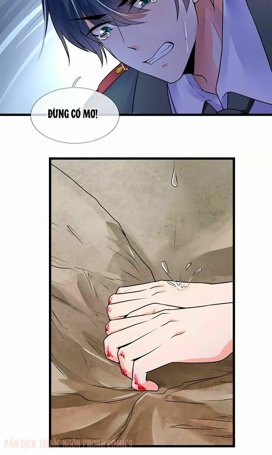 page_19.jpg