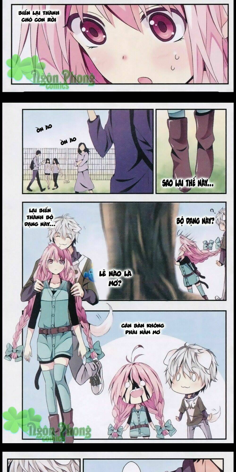 page_22.jpg