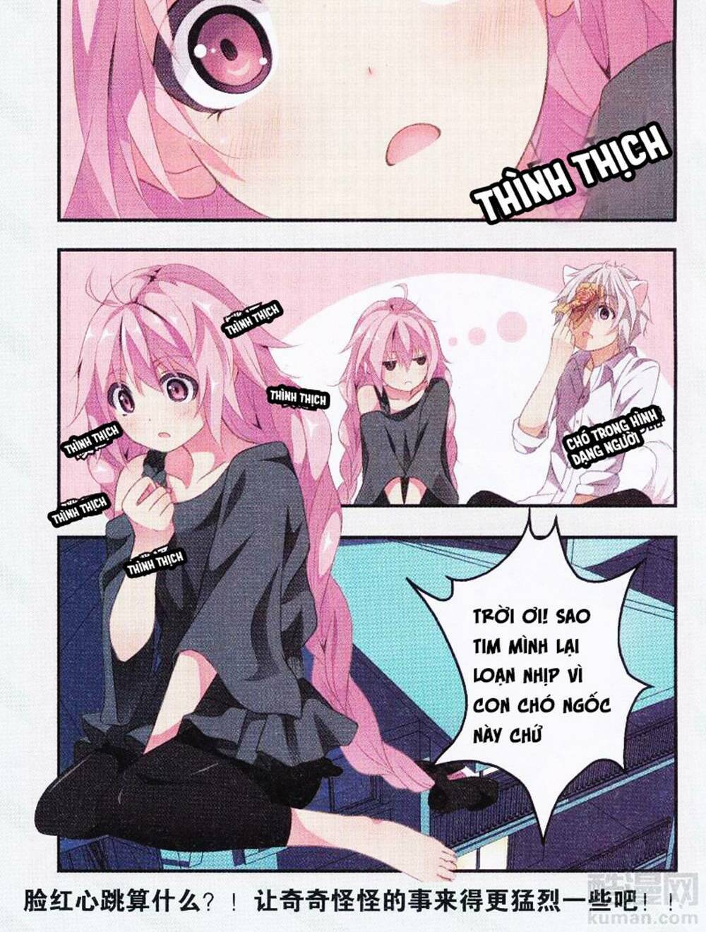 page_20.jpg