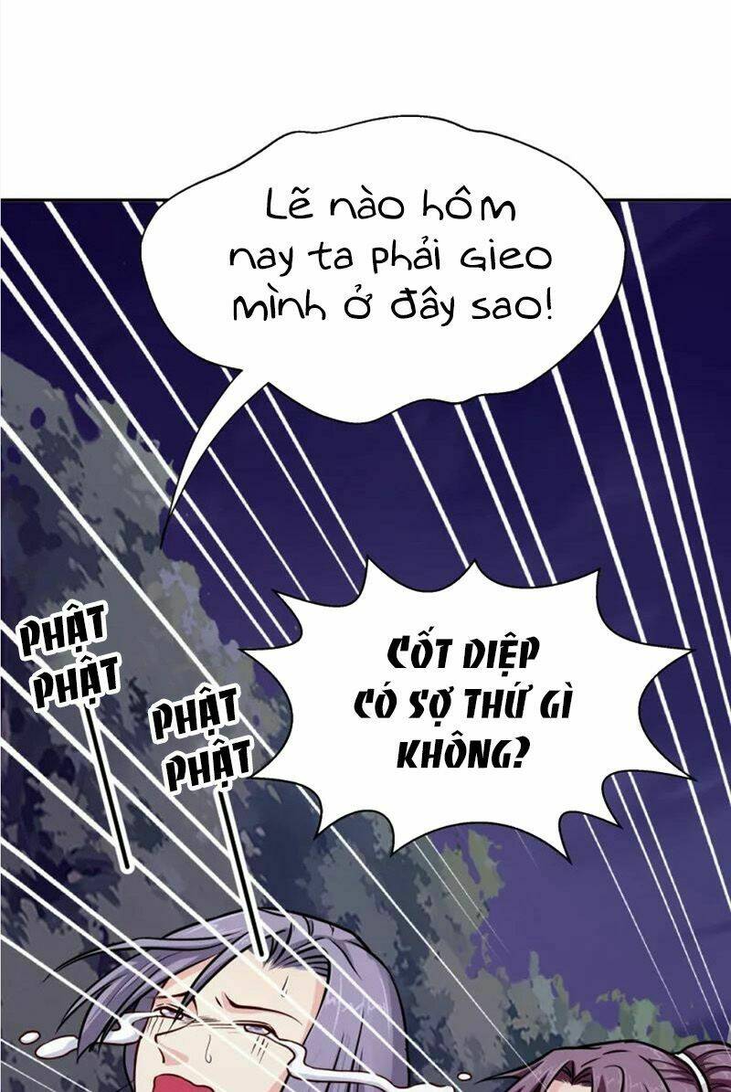page_17.jpg