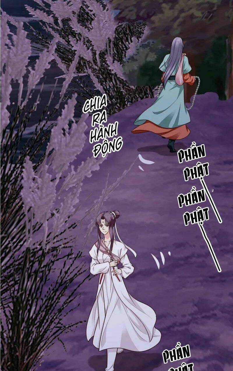 page_28.jpg