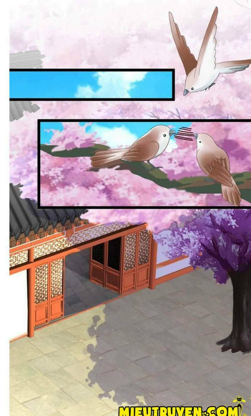 page_5.jpg