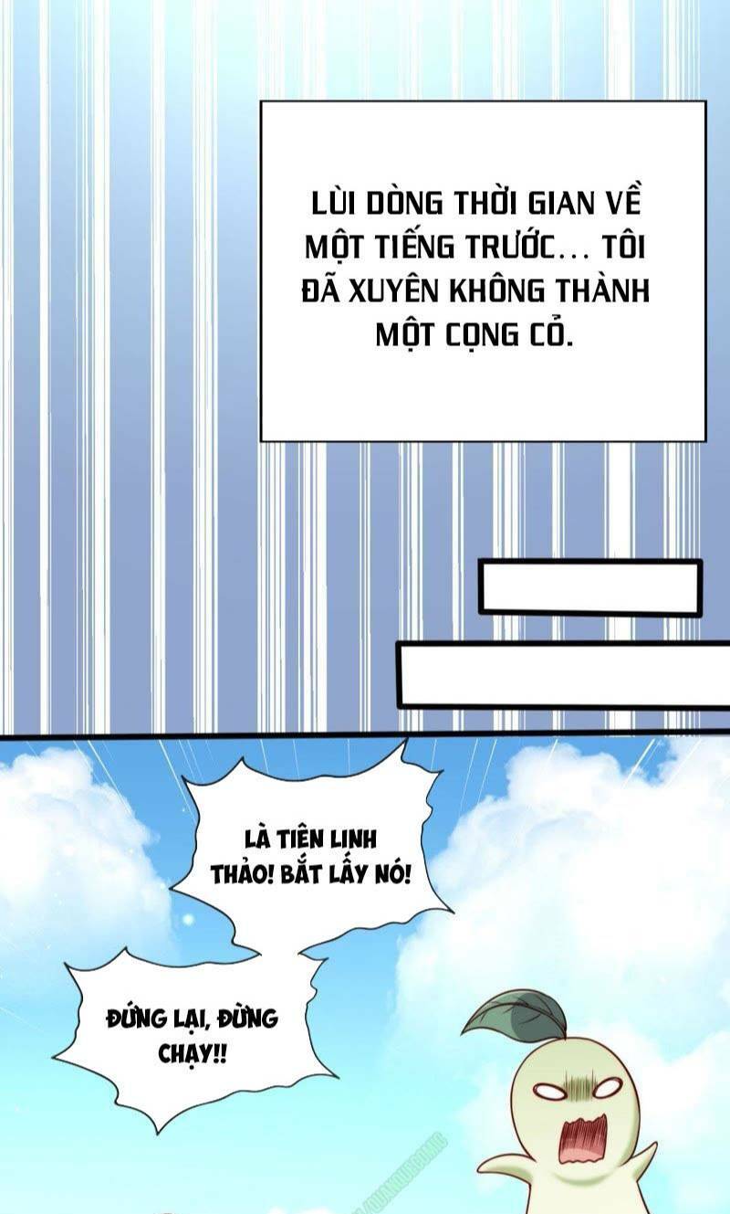 page_3.jpg