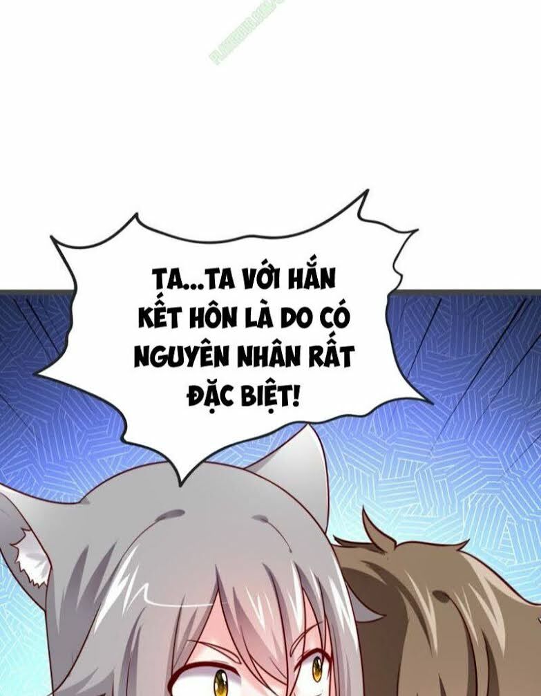 page_22.jpg