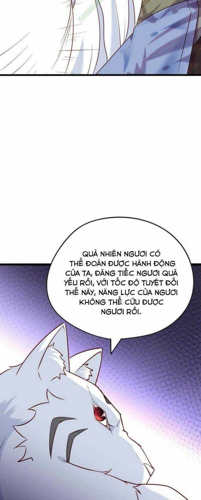 page_28.jpg