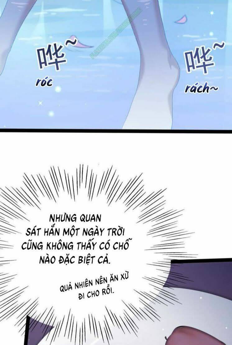page_11.jpg
