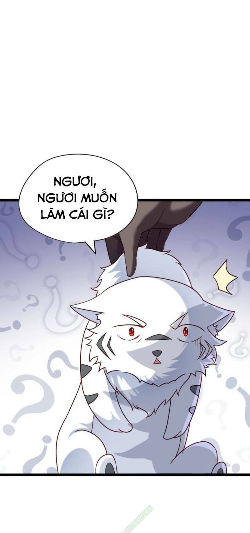page_28.jpg