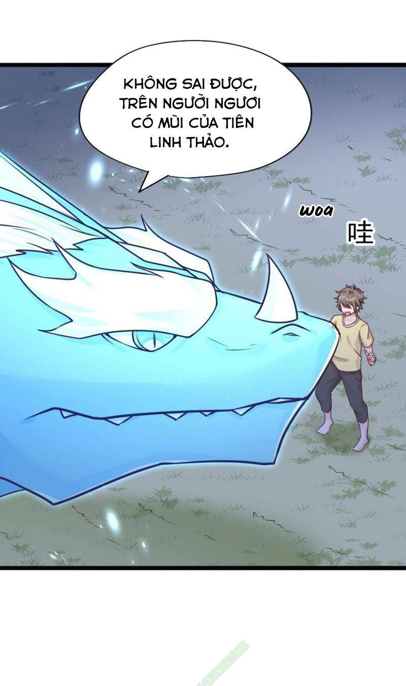 page_33.jpg